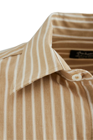 ORGANIC-COTTON-SHIRT-COLLAR