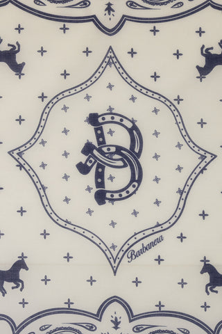 Paisley Ranch Bandana