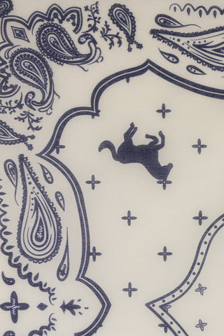 Paisley Ranch Bandana